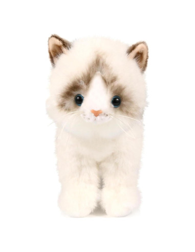 Juguete de Peluche Gato Ragdoll ICE KING BEAR 20 cm