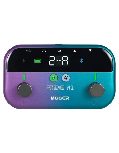 MOOER M1 Procesador de Efectos para Guitarra y Bajo