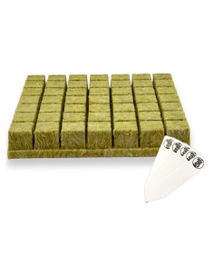 Cubos de Rockwool Grodan 1.5" para Inicio de Semillas - 49 Tapones