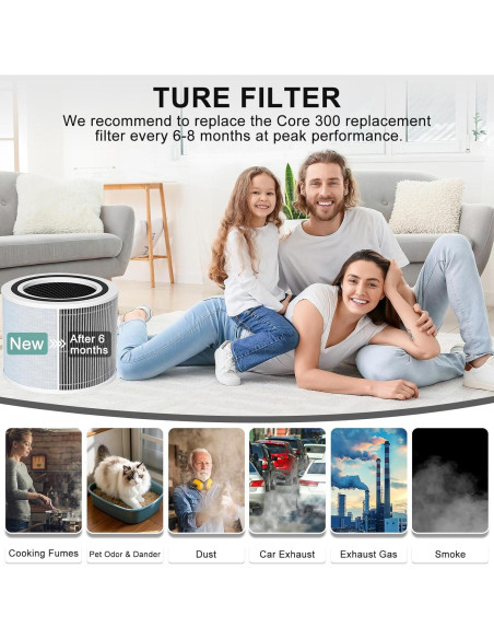 Filtro de Reemplazo Doifyn Core 300 para Purificador LEVOIT