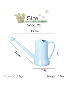 Regadera de Interior XXXFLOWER 2L Pico Largo Desmontable Azul 2