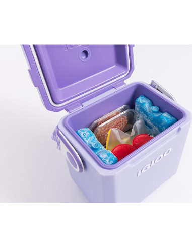 Bloque de Hielo Reutilizable Igloo Maxcold 2PK Grande