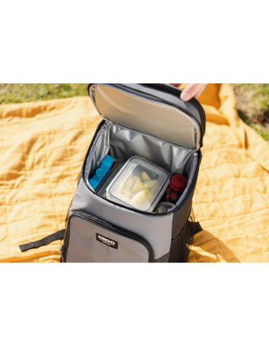 Bloque de Hielo Reutilizable Igloo Maxcold 2PK Grande