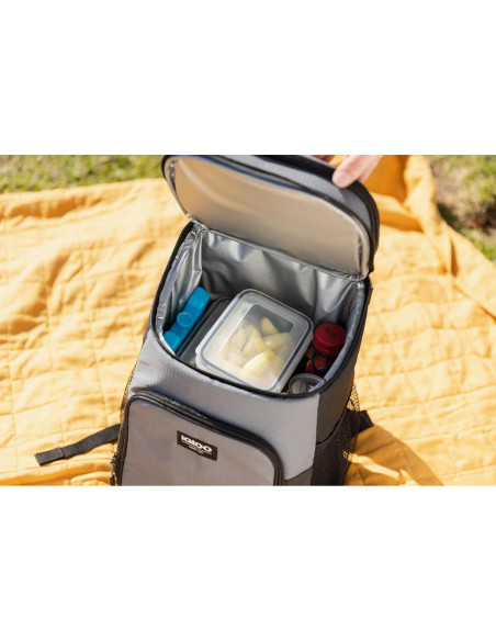 Bloque de Hielo Reutilizable Igloo Maxcold 2PK Grande