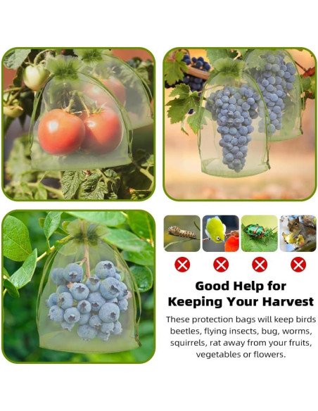 100 Bolsas de Protección de Frutas SythorYang 10x15 cm Verde