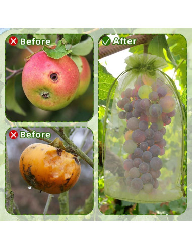 100 Bolsas de Protección de Frutas SythorYang 10x15 cm Verde