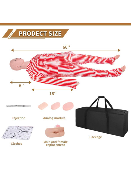 Maniquí Médico SFXYJ Multifuncional RCP 1.58m 12.7kg