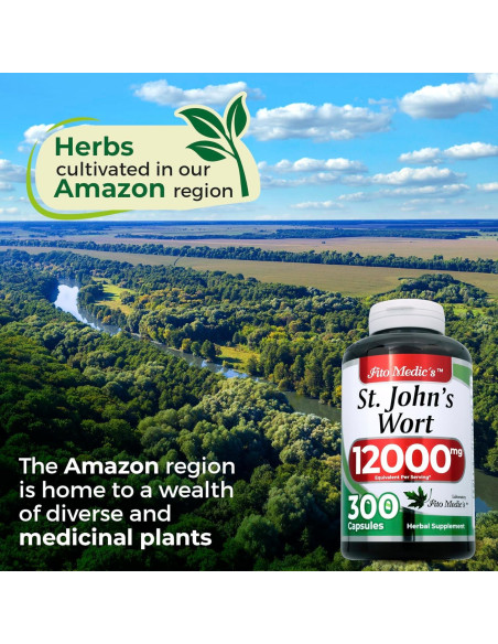 Cápsulas de Hierba de San Juan FITO MEDIC'S 300 Unidades 600 mg