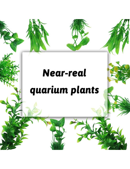 Decoraciones para Acuarios PietyPet - 10 Plantas Verdes
