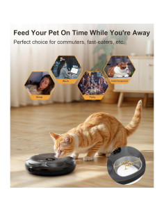 Dispensador Automático de Comida Casfuy con Bandeja Inoxidable 2