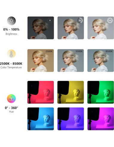 NEEWER Luz LED RGB168 60W con Control App y Soporte 200cm