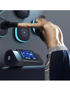 Máquina de Boxeo Musical FIAMEARMOR MBT05 Pared Bluetooth 2