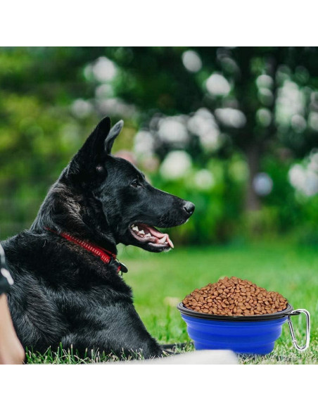 Cuencos Plegables SLSON para Gatos y Perros, 1.01L