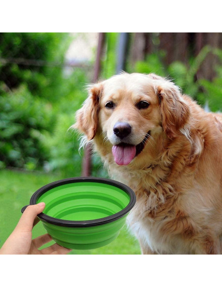 Cuencos Plegables SLSON para Gatos y Perros, 1.01L