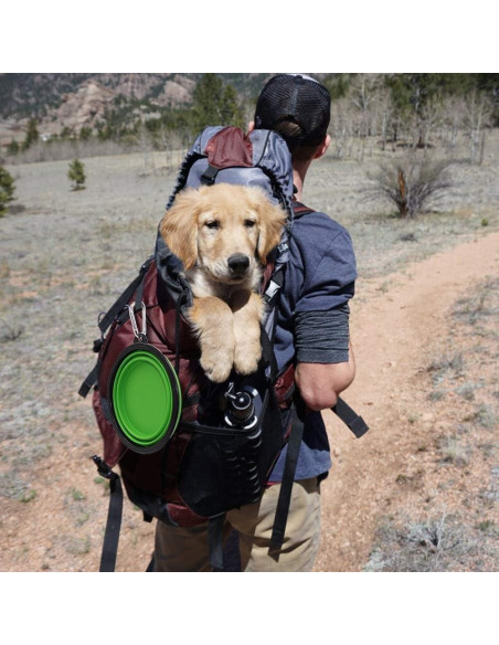 Cuencos Plegables SLSON para Gatos y Perros, 1.01L