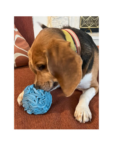 Juguete interactivo para perros Glory To Dog bola azul