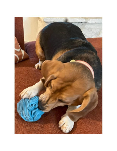 Juguete interactivo para perros Glory To Dog bola azul