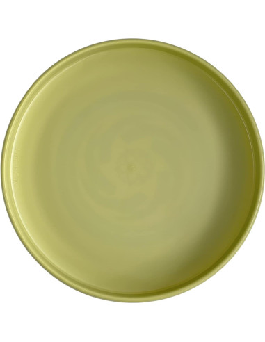 Frisbee Ultimate ISD TOYS Verde Brilla en la Oscuridad 27 cm