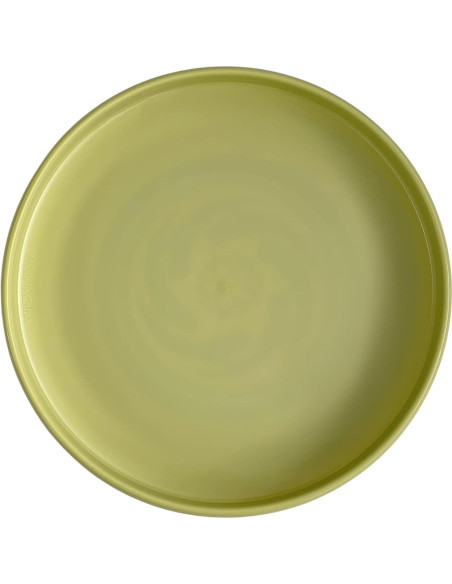 Frisbee Ultimate ISD TOYS Verde Brilla en la Oscuridad 27 cm