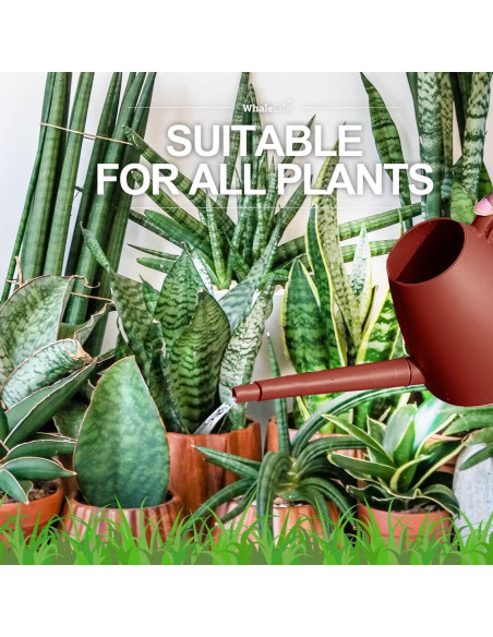 Regadera WhaleLife 2L Rojo Terracota para Bonsáis