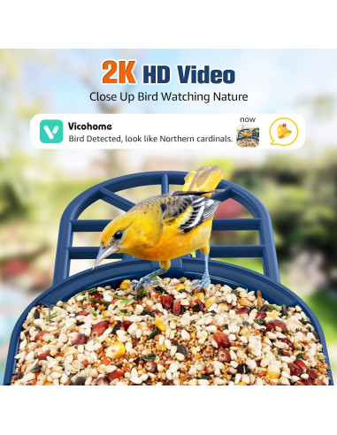 Comedero de Aves PeckCam con Cámara 2K y Solar IP65