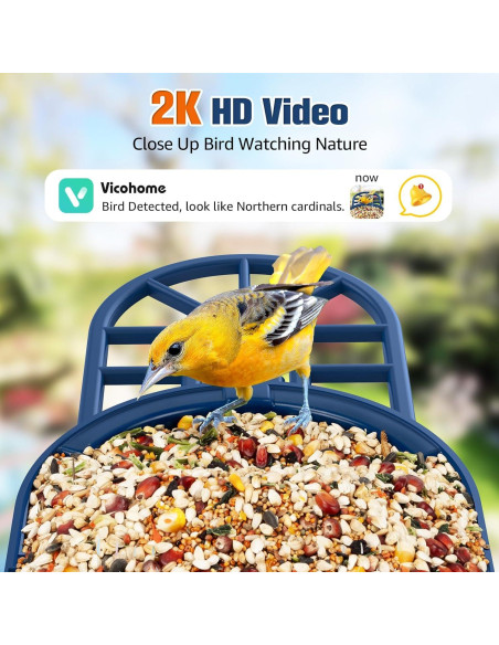 Comedero de Aves PeckCam con Cámara 2K y Solar IP65