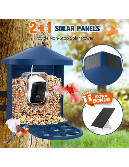 Comedero de Aves PeckCam con Cámara 2K y Solar IP65