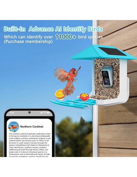 Comedero para Aves Tutoview 2.5L con Cámara HD y Solar