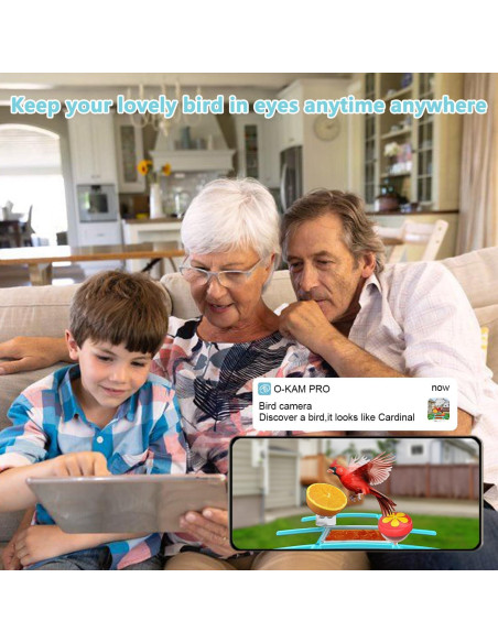 Comedero para Aves Tutoview 2.5L con Cámara HD y Solar