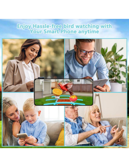 Comedero para Aves Tutoview 2.5L con Cámara HD y Solar