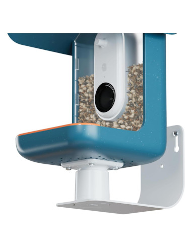 Soporte de Pared Bird Buddy - Accesorio para Comedero Aves