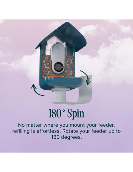 Soporte de Pared Bird Buddy - Accesorio para Comedero Aves