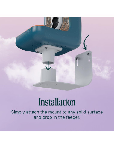 Soporte de Pared Bird Buddy - Accesorio para Comedero Aves