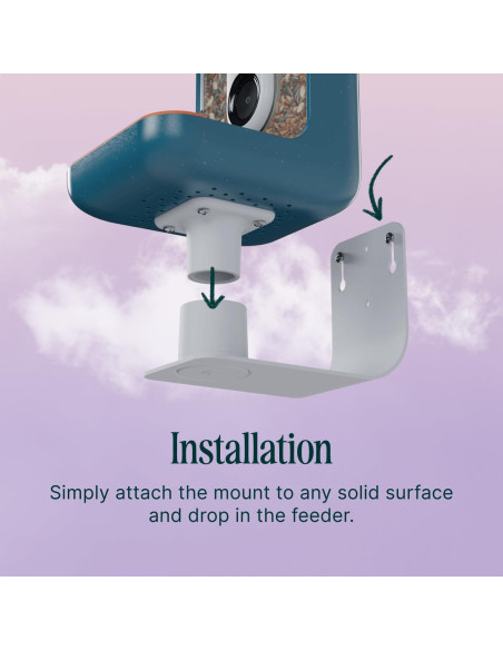 Soporte de Pared Bird Buddy - Accesorio para Comedero Aves