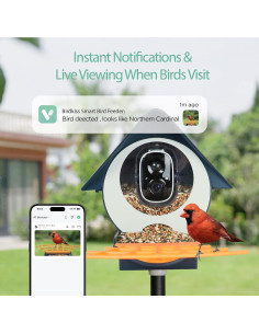 Comedero Inteligente Birdkiss con Cámara HD y Panel Solar 2