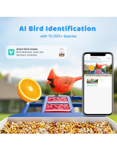 Comedero Inteligente Solareye con Cámara 2K y Solar 2