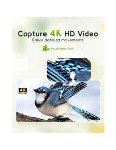 Alimentador de Aves Camojojo Hibird 4K HD con Cámara AI 2