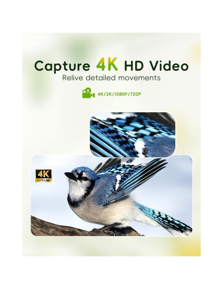 Alimentador de Aves Camojojo Hibird 4K HD con Cámara AI