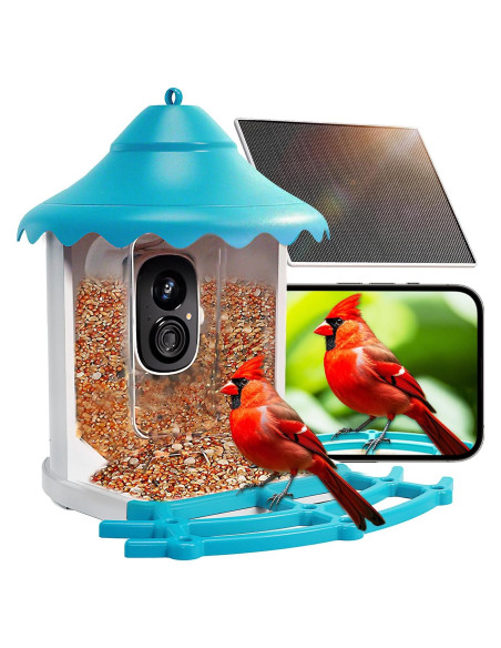 Comedero para Aves CINMOORE P2U Solar 2L con Cámara HD