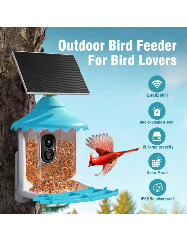 Comedero para Aves CINMOORE P2U Solar 2L con Cámara HD