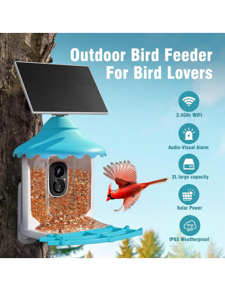 Comedero para Aves CINMOORE P2U Solar 2L con Cámara HD