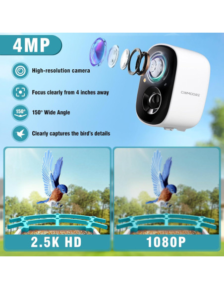 Comedero para Aves CINMOORE P2U Solar 2L con Cámara HD