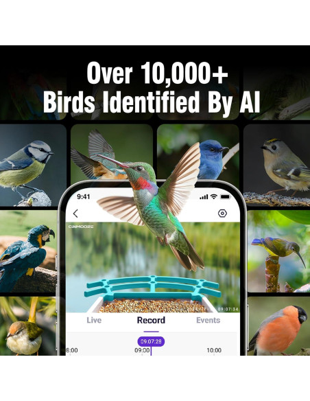 Comedero para Aves CINMOORE P2U Solar 2L con Cámara HD