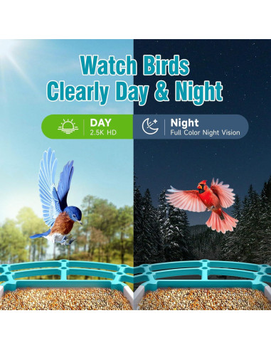 Comedero para Aves CINMOORE P2U Solar 2L con Cámara HD