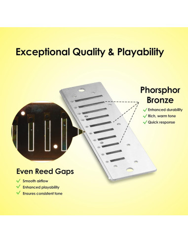 Harmónica Diatónica E 10 Agujeros Bronce Fosforado Compacta