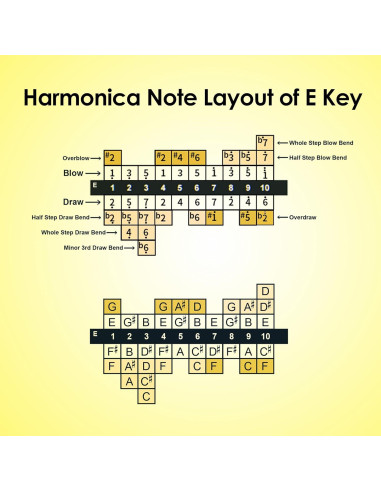 Harmónica Diatónica E 10 Agujeros Bronce Fosforado Compacta