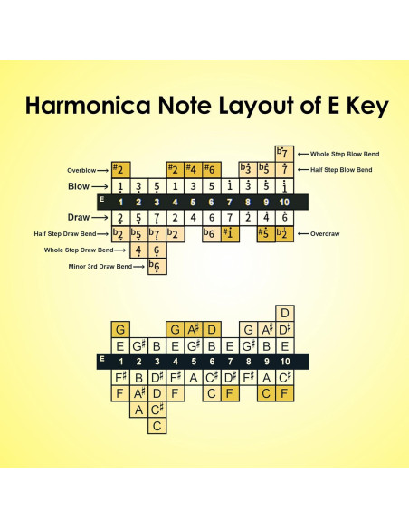 Harmónica Diatónica E 10 Agujeros Bronce Fosforado Compacta