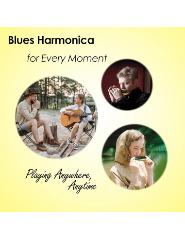 Harmónica Diatónica E 10 Agujeros Bronce Fosforado Compacta