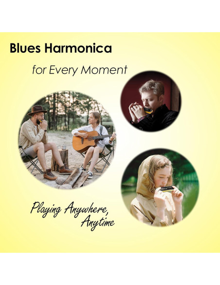 Harmónica Diatónica E 10 Agujeros Bronce Fosforado Compacta