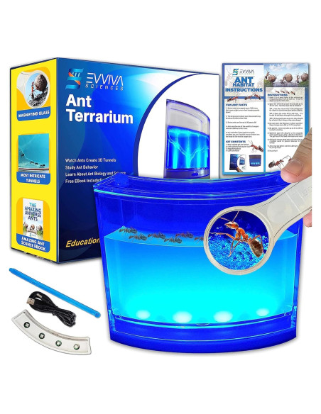 Evviva Hábitat de Hormigas LED 16.5x15.2cm Kit Educativo